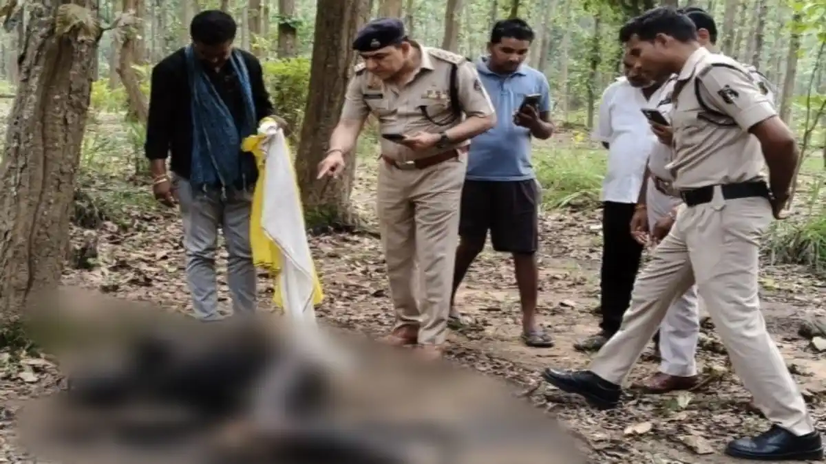 झलरिया गांव के जंगल